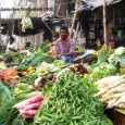 What is a microbiome and why do we have one?  What do you want to know about prebiotics, probiotics, and antibiotics?  What does life on a savannah have to do...